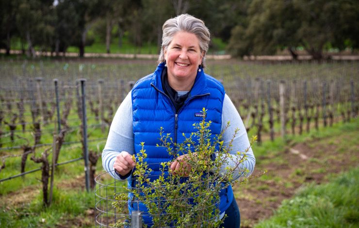 Dr Mary Retallack